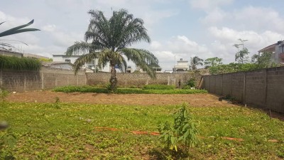 1 lot avec titre foncier à 200m du goudron