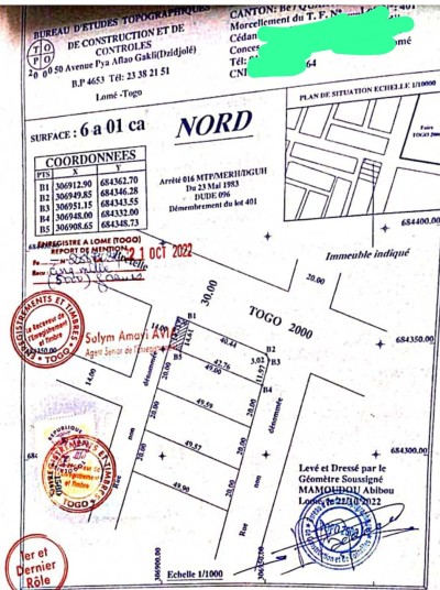 1 lot avec titre foncier au bord du goudron togo 2000