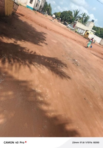 2 lots collés avec titre foncier à 400m du goudron