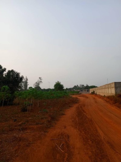 4 lots collés cloturés avec titre foncier à 90m du goudron