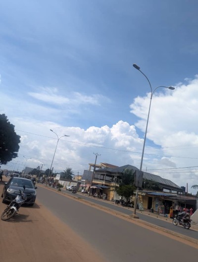 1 lot avec titre foncier au bord du goudron