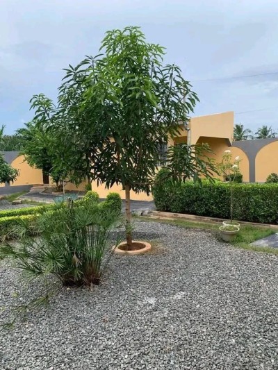 villa 2 chambres sur 1 lot avec plan visé +mandat