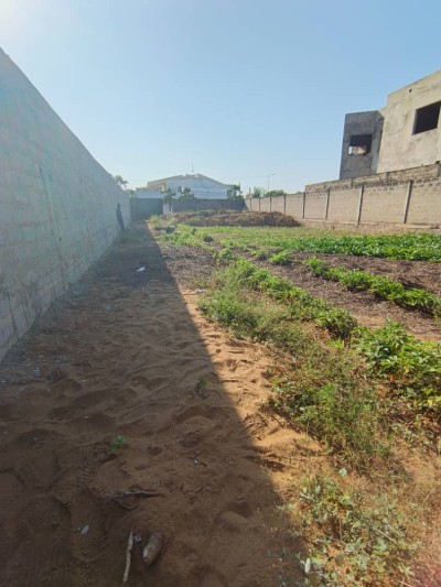 1 lot avec titre foncier à 200m du goudron monument