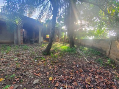 1 lot 1/4 avec titre foncier au bord des pavés