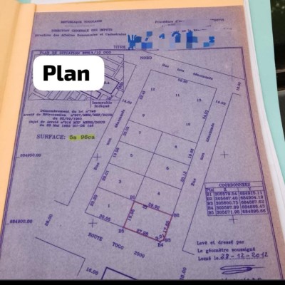 1 lot avec titre foncier au bord du goudron