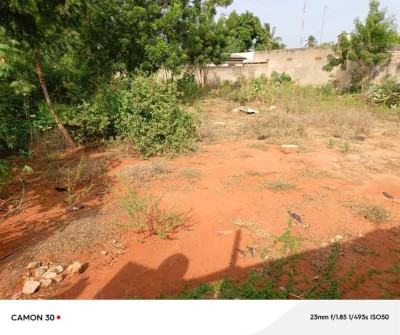 1 lot cloturé avec 3 tampons à 600m du goudron