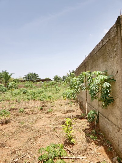 2 lots collés cloturés avec titre foncier au bord grande voie