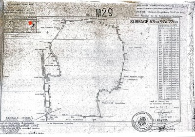 68 hectares avec titre foncier à 800m du goudron
