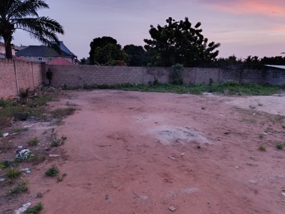 démi lot carré avec plan simple + mandataire