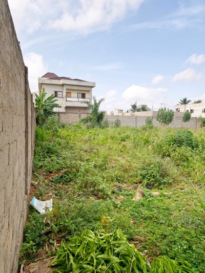 2 lots collés avec titre foncier à 400m du goudron