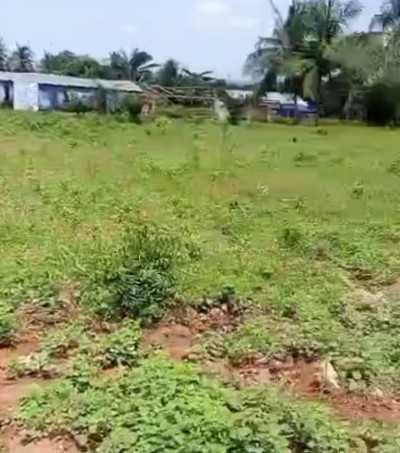 6 lots collés avec titre foncier en cours au bord grande voie