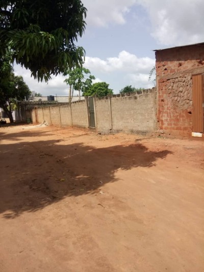 2 lots collés cloturés avec titre foncier