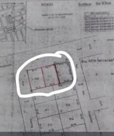 3 lots collés avec titre foncier au bord des pavés