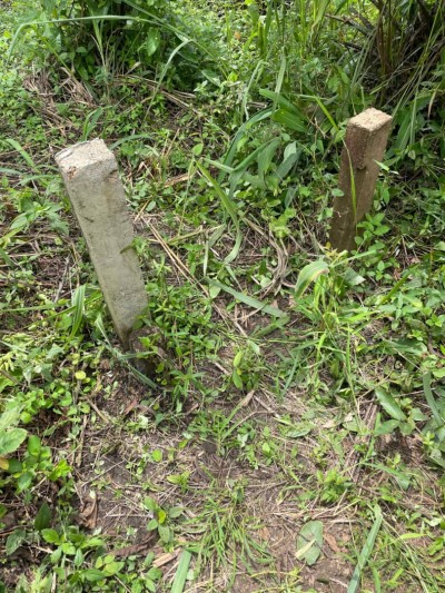 11 hectares avec titre foncier à 6.8km du goudron