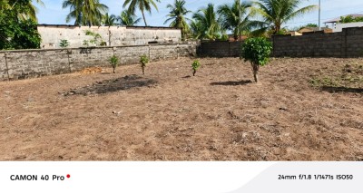 1 lot cloturé avec tampon otr à 300m du goudron r2