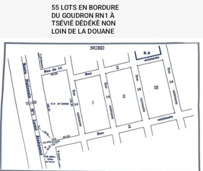 55 lots collés avec titre foncier au bord du goudron
