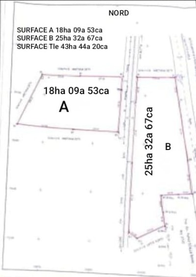 43 hectares collés avec titre foncier au bord du goudron