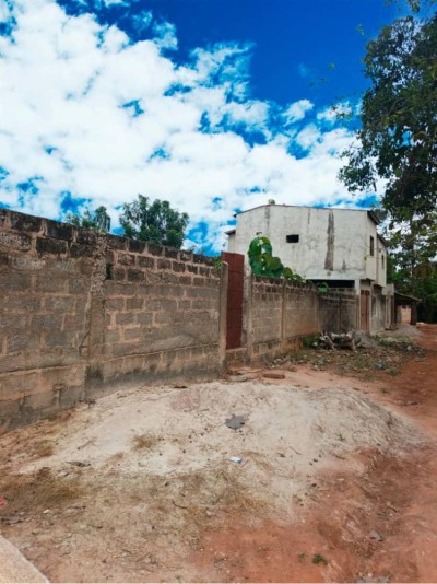 démi lot sémi cloturé avec tampon otr à 60m du goudron