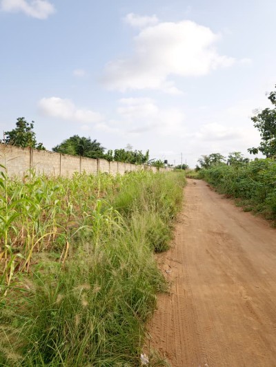 2 lots cloturés avec titre foncier à 1.2km du goudron