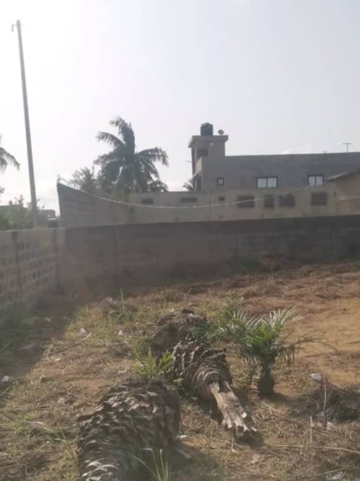 5 lots 3/4 cloturés avec titre foncier