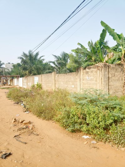 déùmi lot cloturé avec tampon otr à 400m du goudron