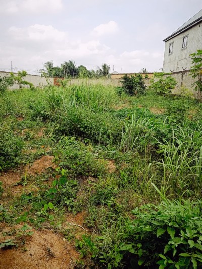 démi lot à déduire de 2 lots cloturés avec titre foncier