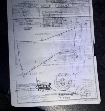 3 hectares collés au bord du goudron