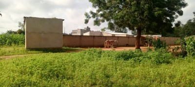 4 lots collés avec 3 tampons à 300m de la grande voie