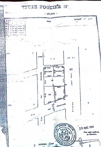 1 lot avec titre foncier au bord du goudron ( boulevard j. P. 2