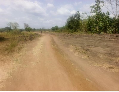 30 lots collés avec titre foncier à 400m du goudron nationale 1