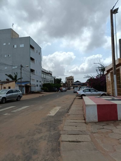 1 lot 1/4 avec 3 tampons à 300m du goudron