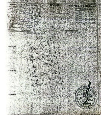 2 lots collés avec titre foncier global à 50m du goudron