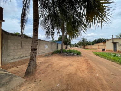 démi lot avec tampon otr au bord du goudron