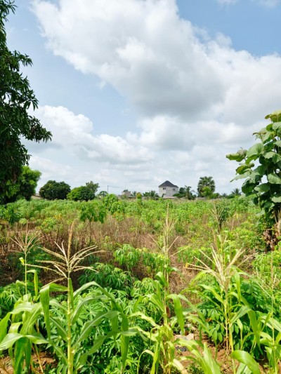 5 lots collés avec titre foncier à 500m du goudron