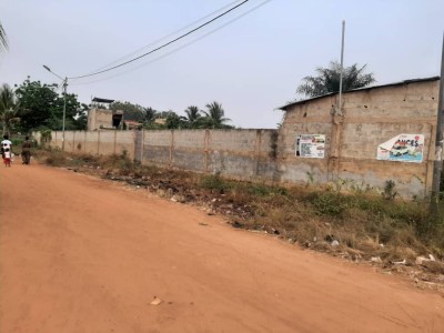 3 lots et démi collés cloturés avec titre foncier global