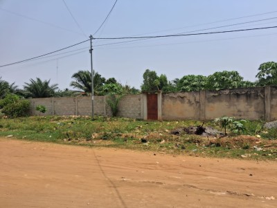 3 lots collés cloturés avec titre foncier