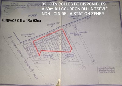 35 lots collés avec titre foncier en cours à 60m du goudron